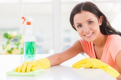 Professional pet stain odour removal in a Grahame Park home