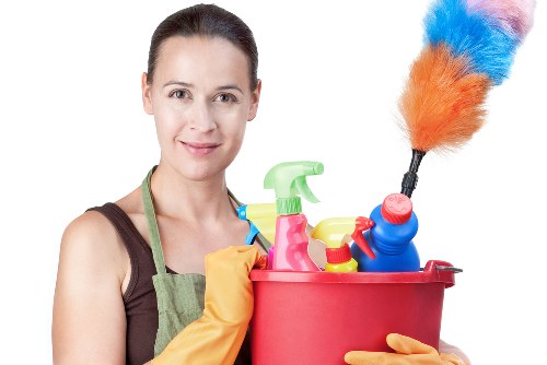 Carpet cleaning for pet urine stains and odours