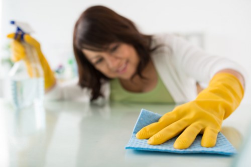 Quotation and booking details for a carpet cleaning appointment