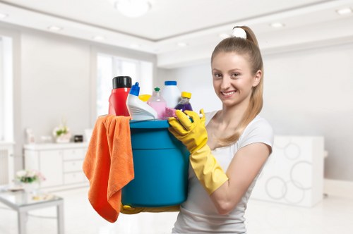 Deep cleaning process for a living room rug