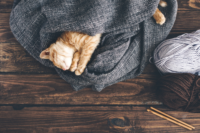 Window cleaning Clean